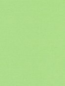 АЛЬФА 5713 фисташковый  200cm copy