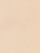 АЛЬФА BLACK-OUT 4240 персиковый 250cm copy copy