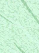 БАЛИ 5850 зеленый 89 мм-1