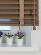 Дерево тигровый ГЛАЗ 50 мм