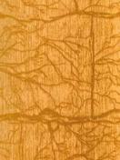 ФРОСТ 7122 золото, 5,4м-1