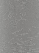 lamelia-ru-5d70e56ece29c