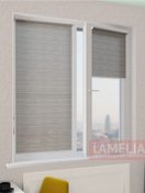 lamelia-ru-6011289849364