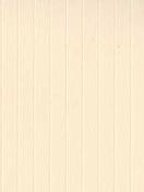 ЛАЙН II 4221 персиковый, 89мм-1