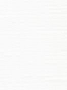 ОМЕГА FR 0225 белый, 250 см copy