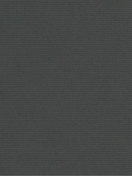 ПЛЭЙН BLACK-OUT DBL 1854 графит, 200 см