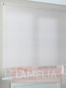 РУАН 0225 белый копия_lamelia1