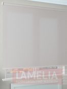 СОУЛ 0225 белый копия_lamelia