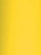 СТАНДАРТ 3204 желтый, 5,4м-1