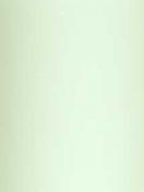 СТАНДАРТ 5608 зеленый, 5,4м-1