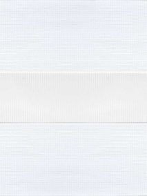 Зебра Лотос