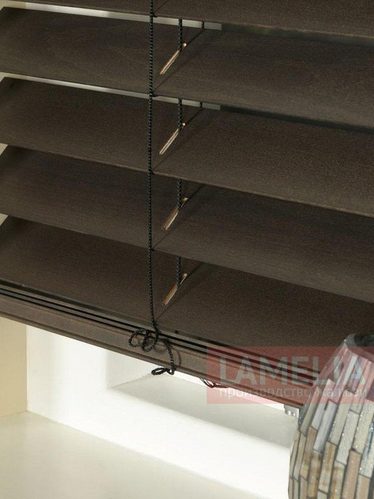 Дерево орех 1