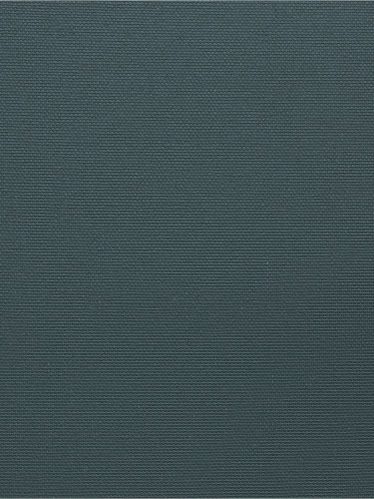 ОМЕГА 5880 т. зеленый, 250 см