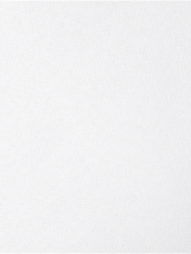 ПЛЭЙН 0225 белый, 200 см copy