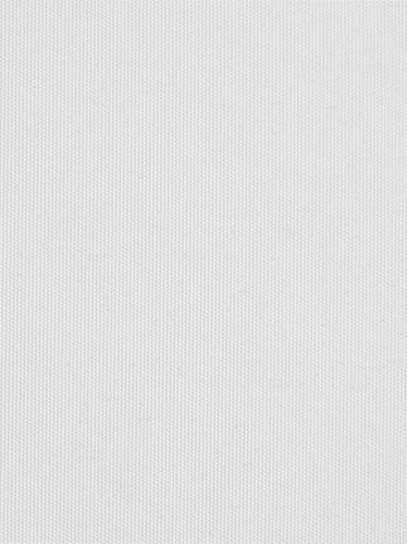 ПЛЭЙН BLACK-OUT 0225 белый, 200 см copy