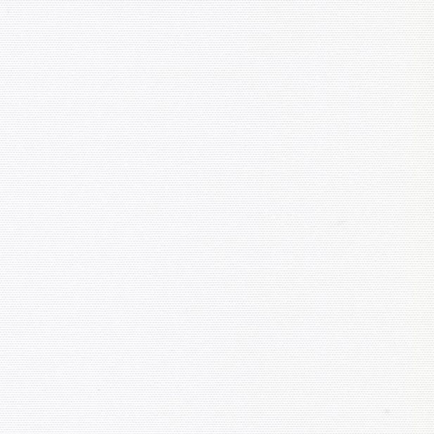 АЛЬФА 0225 белый 250cm