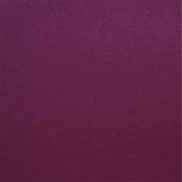 ОМЕГА 4830 рубин, 250 см