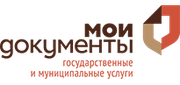Центры госуслуг «Мои документы» — клиент LAMELIA